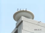 檔案名稱=PICT0013-0.jpg
檔案大小=298KB
圖片尺寸=800x600
加入日期=七月 17, 2011 PICT0013-0.jpg