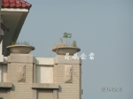 檔案名稱=PICT0009.JPG
檔案大小=435KB
圖片尺寸=800x600
加入日期=七月 17, 2011 PICT0009.JPG